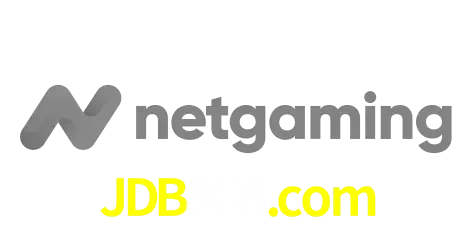 NetGaming